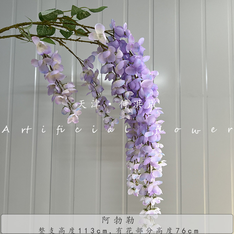 아블러-라이트 퍼플