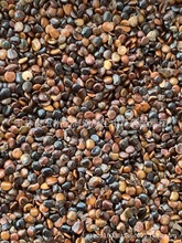 ��ș���ח�����ș���uצ�ӹ՗����f�۹������ӽ��h���L�ڹ���