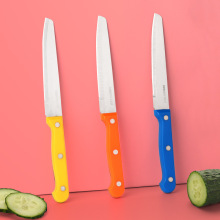 家用厨房平头水果刀 不锈钢瓜果削皮刀 糖果色小刀塑料瓜果小刀子