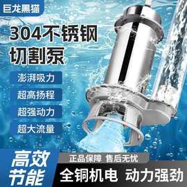 抽水机220v不锈钢耐腐蚀潜水泵380V高扬程化粪池污水泵304垒德株