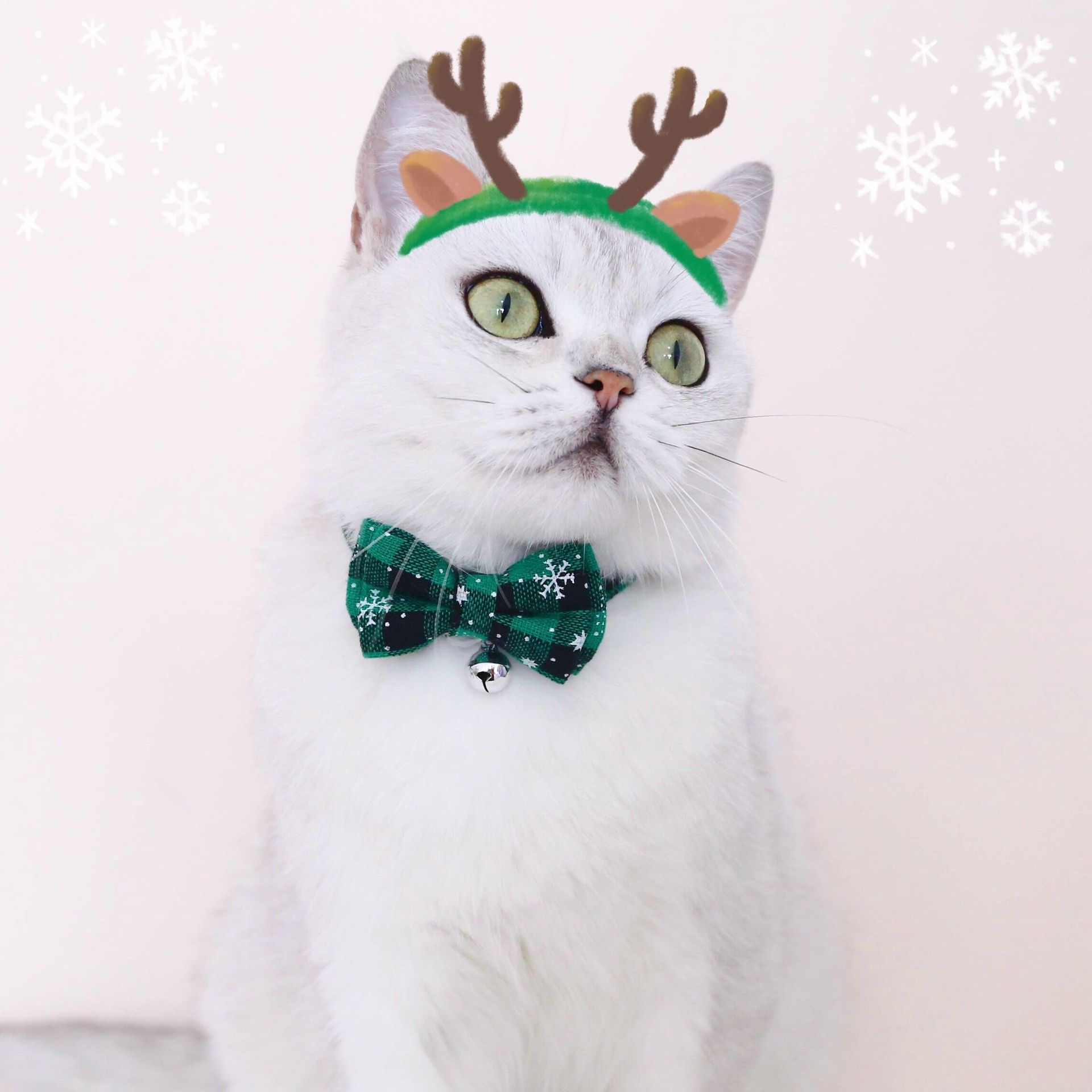 Pet ajustable anti-asfixia arco de doble capa copo de nieve cuadrícula collar de Navidad gatos perros campana accesorios collar