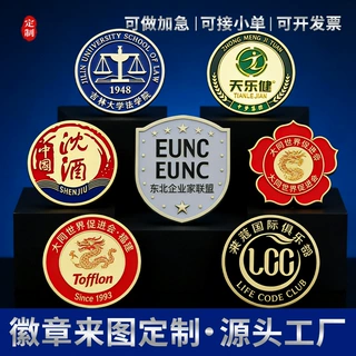 锌合金烤漆珐琅工艺团队活动标志LOGO胸章纪念品定做金属徽章定制