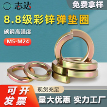 8.8���ߏ��Ȳ��\���|m5m24̼䓼Ӻ��_�ڏ��ɉ|Ȧ�A˾���ӏ��ԉ|Ƭ