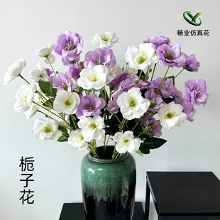 ���滨���l6�^�d�ӻ�ľ�Ȼ���c��Y�þƵ��b�ˇ���l�d�ӻ�