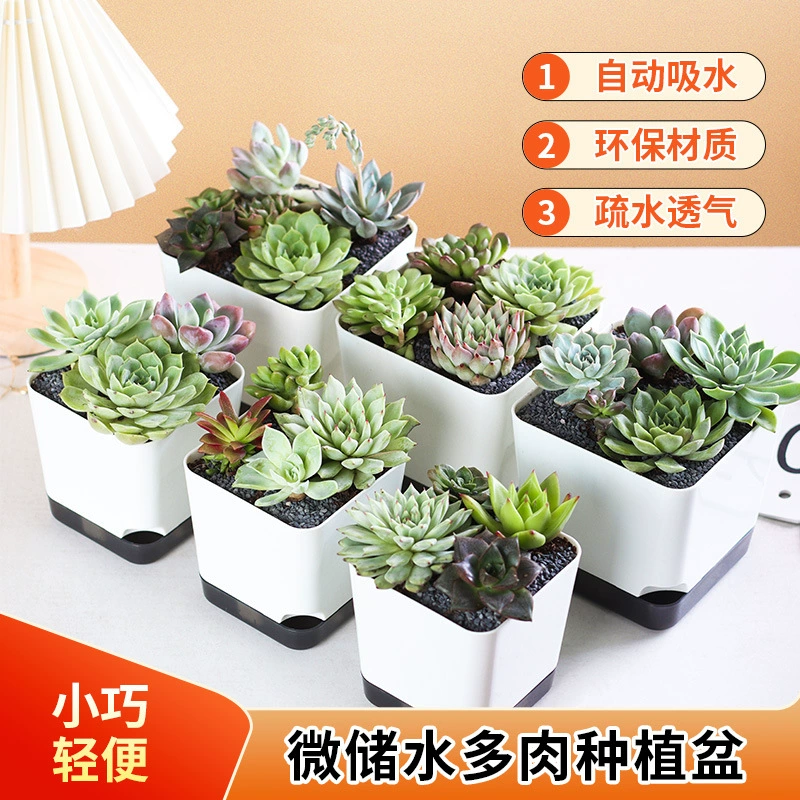 Вражающийся сочный цветочный горшок, пластиковый сочный специальный горшок, настольный самопоглощающийся маленький цветочный горшок, бытовой простой сочный цветочный горшок