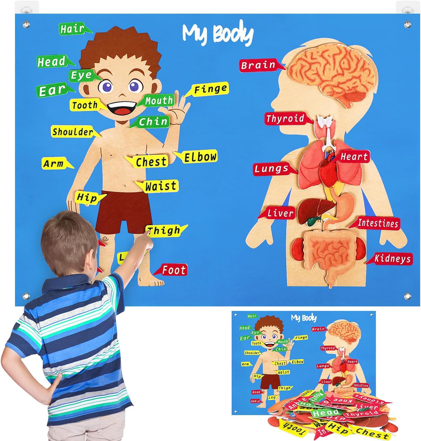 Ventas calientes de educación temprana aprendizaje de partes del cuerpo juguetes sensoriales historia de fieltro reconocimiento de partes del cuerpo tablero de enseñanza