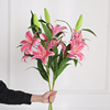 手感保湿百合仿真花单枝百合花胶片家居客厅装饰虎兰假花厂家批发|ru