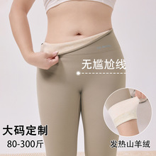 2024秋冬新款大码鲨鱼裤加绒女高腰打底裤加厚保暖外穿瑜伽提臀裤
