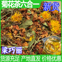 批发菊花茶六合一  菊花大货供应红茉莉花相思叶甜叶菊 菊花茶