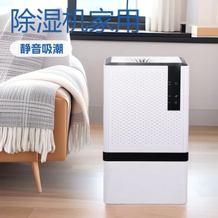 European and American 2025 Household Rapid Dehumidifier Dehumidifier