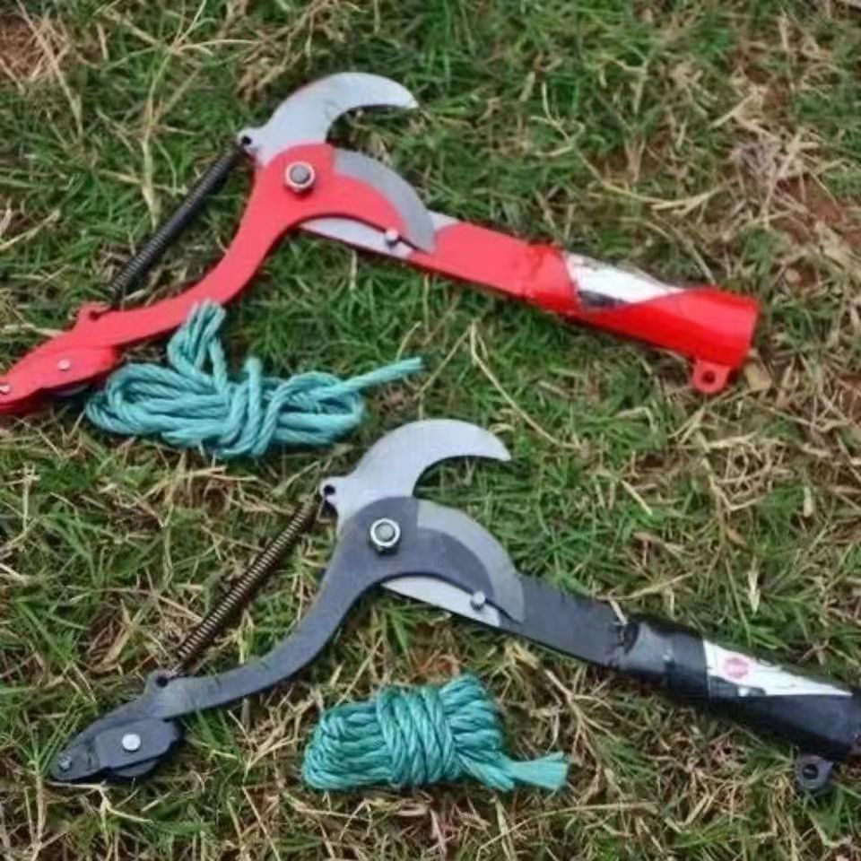 7ccbcb9831476986b937551c50a082