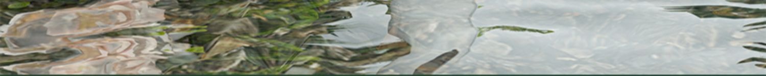 Description Picture 5 of item7 In 1 Massage Spa Pressurized Shower Head With Filter 6 Modes High Pressure Rainfall Shower Faucet Nozzle Bathroom Accessories