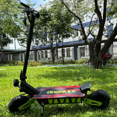 scooter electric scooter, Qatlanan elektrik skuterlər - sports-version-green-48v104ah-dual-drive-1200w2speed-60-range-35-45-kilometers