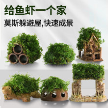 ����ˮ���~���쾰�����Ī˹ˮ����ֲ��[��С�~С�r�մɶ�ܹ�