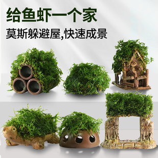 Crazy Water Grass Moss Water Grass Shelter House Fish Tank Landscaping Small Ornaments Real Plant Small Fish and Shrimp Ceramic Shelter Tank
