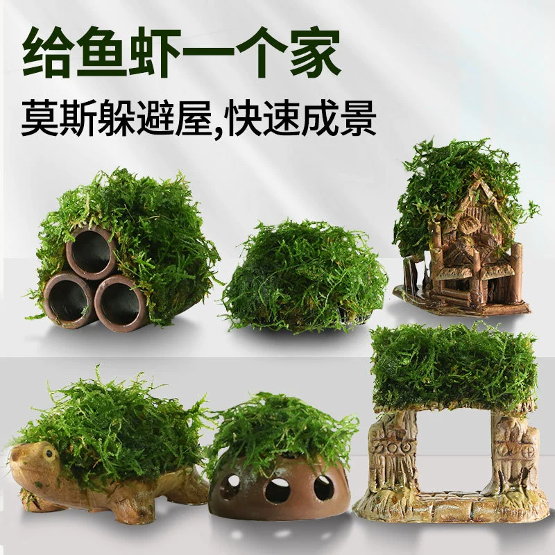 Многоразовые декорации для аквариума: живые растения, мха, укрытия для мелких рыбок и креветок, керамические украшения для аквариума