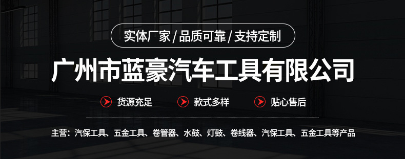 汽车引擎点火正时枪_01