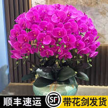 ��������m���玧�������������Դ���͏d�҃�ֲ�ﻨ���ļ����B��