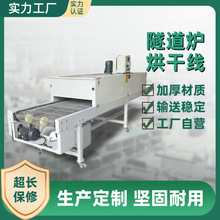 工业流水线恒温隧道炉烘干线不锈钢高温隧道输送线烘烤炉生产供应