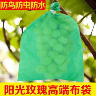 Sunshine Rose Green Grape Non-Woven Bag Waterproof Insect and Bird Sun Protection Rainproof Mesh Bag Breathable Fruit Protection Bag