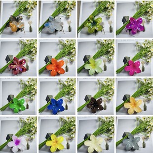 8cm�Ͻ𻨿羳�l�A�u�������~�A���l�l��^��X�׿羳����ץ�A