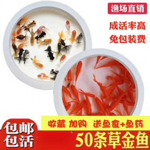 С���~���^�p�~��ˮ�ͻ���B�~��ˮ�t���\�����~С���~�ݽ��~���~