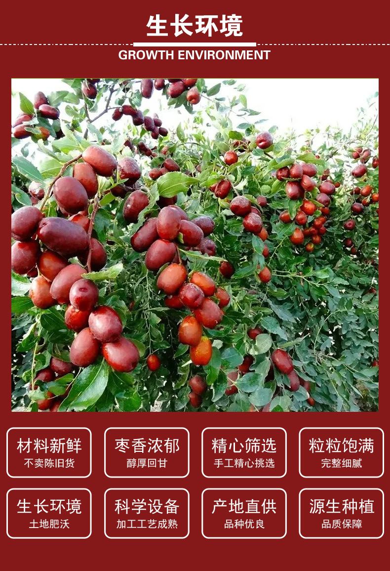 Red Jujube Slices & Rings (Ziziphus jujuba) — Xinjiang Dried Jujube for Wellness Tea, 500g key features