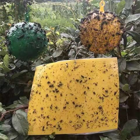 微信图片_20220307091949