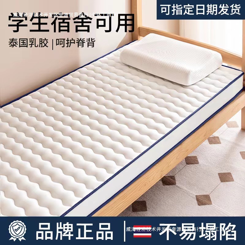 Latex Mattress Cushion Home Dormitory Student Single Memory Foam Sponge Mattress Rental Special Floor Sleeping Mat