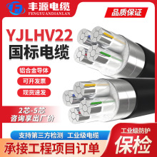 厂家直销YJLHV22工程电力电缆线阻燃铠装光伏线缆多芯 铝合金电缆