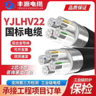 �X�Ͻ�YJLHV22���������|����ȼ�z�b������|��о �X�Ͻ���|