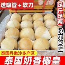 泰国进口小奶椰皇丹嫩沙多香水椰煲鸡汤老椰子孕妇新鲜水果包邮