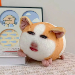 ��Ů�·��t�������i椒��ë�q��߸�ֺ��m�i��ż�l������Y��