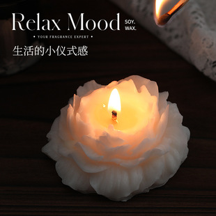 ��޹Ϟ�Tĵ�����ֹ�������Ȼ��ȫ��������Ϟ���˹��־�����b�