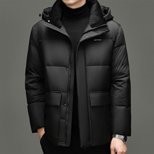 Ÿꌪ2025ZqqӺÓжñڴ