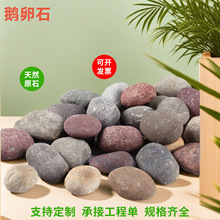 �ӵ�����䁵�����Ȼ����ʯ���~�׾��^�껨ʯ�^ͥԺ�b@ˇ�Z��ʯ