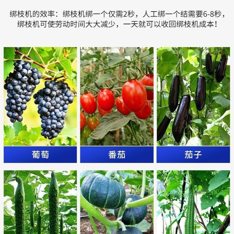 2024-11-18 16:25:03.jpg