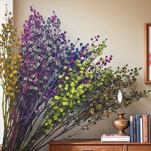 ���������滨ѩ÷���M����������÷�ɻ���ϸɻ�