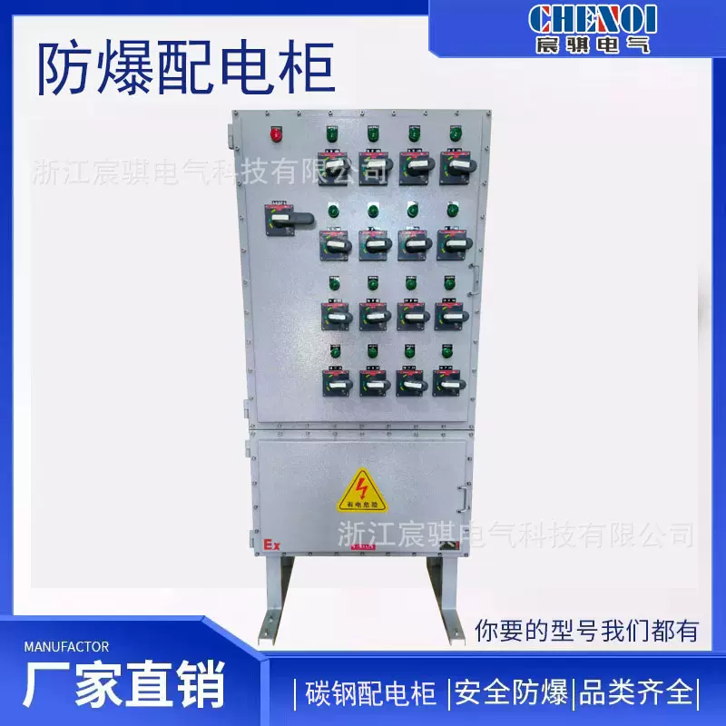 防爆变频柜 立式碳钢防爆柜 智能控制箱 电伴热配电柜