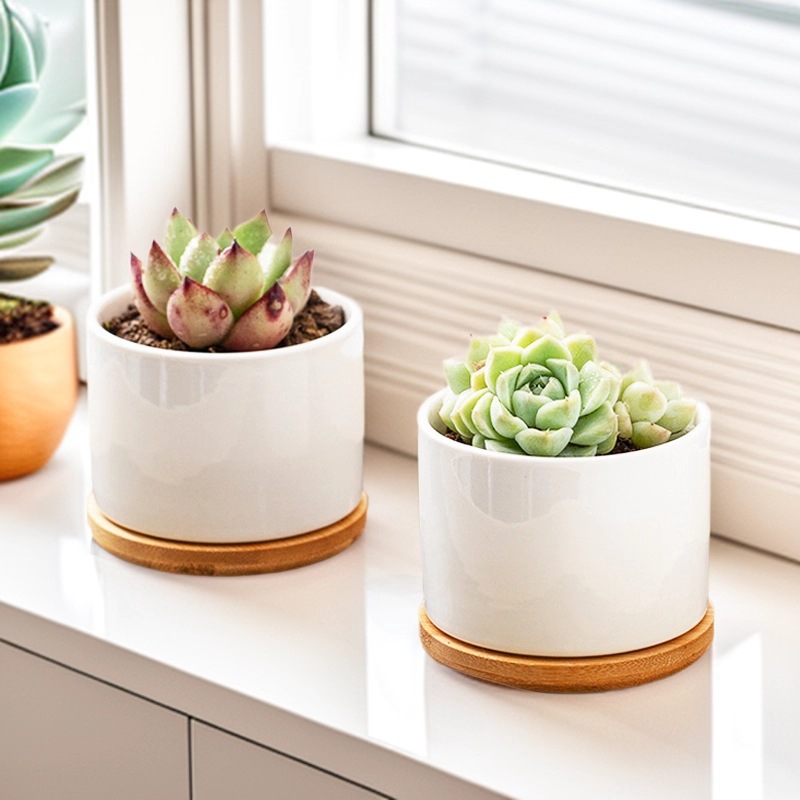 Temu Succulent Flower Pots Ceramic Cross-Border Amazon Gardening Simple White Porcelain Breathable Flower Pots Wholesale with Logo Printing