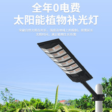 ̫���ֲ�����L������ledֲ���a��������߲˷�̫ꖹ�ȫ���V