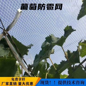[西藏防雹网果园防鸟网四川农用防雹网冰雹网葡萄防雹网青海防雹网]