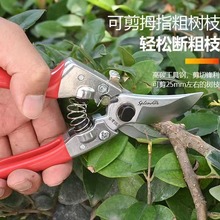 佐佐木园林工具粗枝修枝剪刀 花艺园艺树枝剪 花枝果树修枝剪