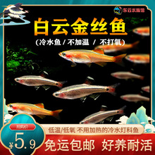 ��녽�z�~ԭ����ˮ�~С�͵�ˮ��ˮ�^�p�~���B�ͻ��~�ݸ�Ⱥ��С�~