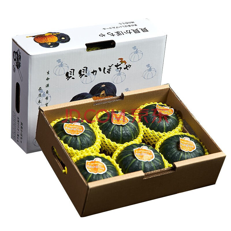 Guangzhou Jiangnan wholesale Straight hair Shunfeng]Babe Pumpkin fresh Chinese chestnut Mini Pumpkin Fragrant and sweet