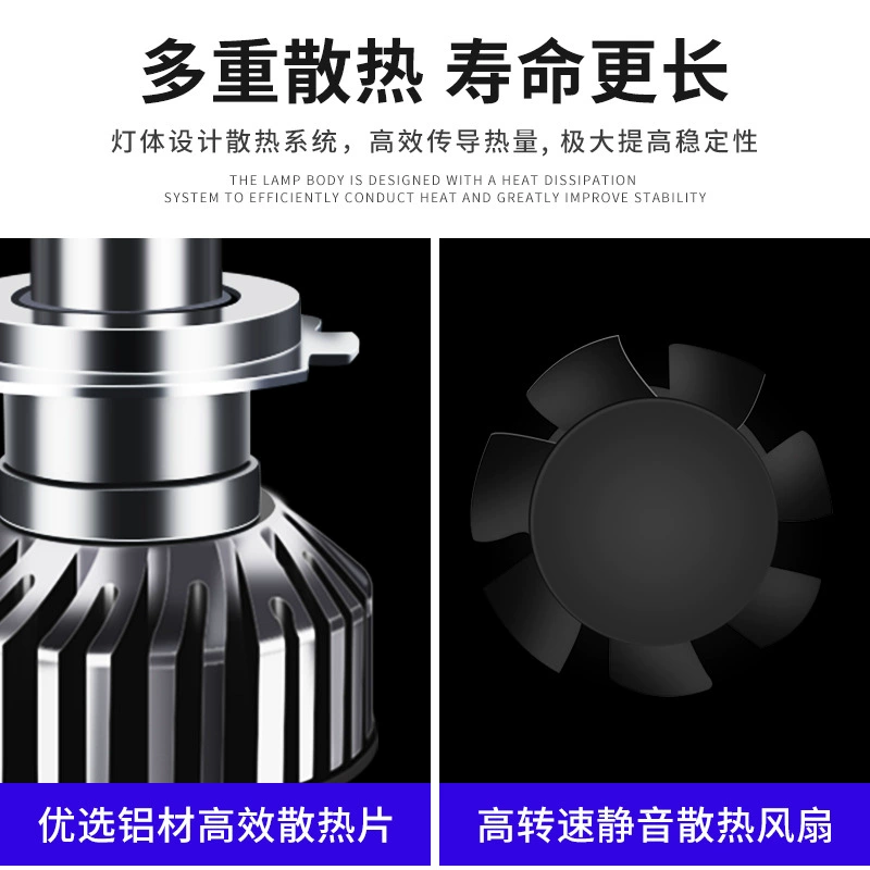 LED lamp, modified bulb with accessories, seahorse