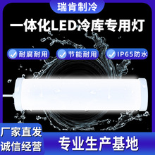 IP65户外防水防潮车间厂房冷库浴室吸顶照明灯管LED三防灯长条灯