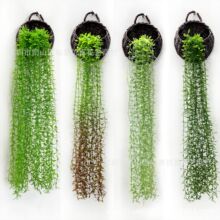 �������~�^�����ٗl ����ֲ��ڒ� ��c�ٻ�����bGֲ�������