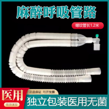 ����һ��������C������·�ݼy�ܻ�·�ܳ��˃�ͯ������·����Ƥ��