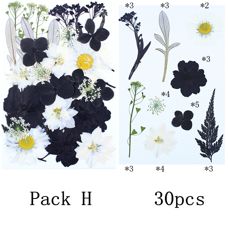 팩 H(흑백 콤비네이션 시리즈 30개)